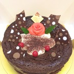 ◆美女と野獣【不定期販売】