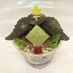 ◆堕天使【不定期販売】